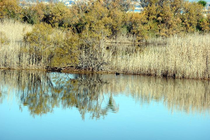 1Saline di Priolo 16.1.2011 (49).jpg